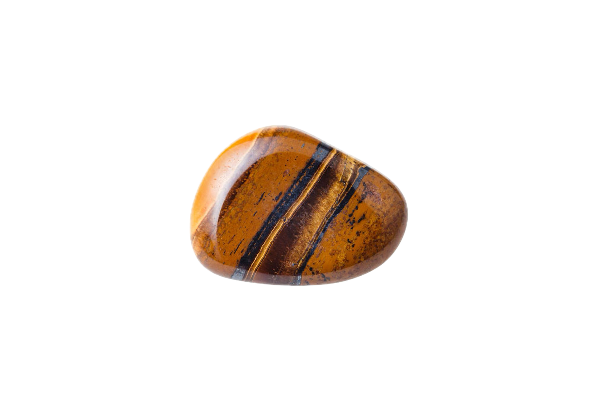 oeil de tigre avec arrière-plan supprimé 5 oeil de tigre avec arriere plan supprime