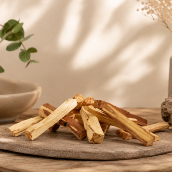 Bâtons de Palo Santo Naturel 8 SEJFL0CncdQwPFDBberj82phzn65Zg0hzoEWfLWBWM0