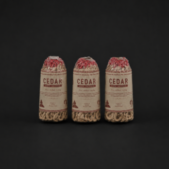 Lot de 3 encens Sandalwood en cordelette
