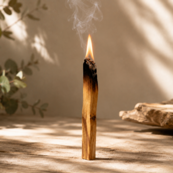 Bâtons de Palo Santo Naturel 9 yJ8D9O1u5BogyzU ZjR7B7OddRShP1ETT8GjhBm ljg