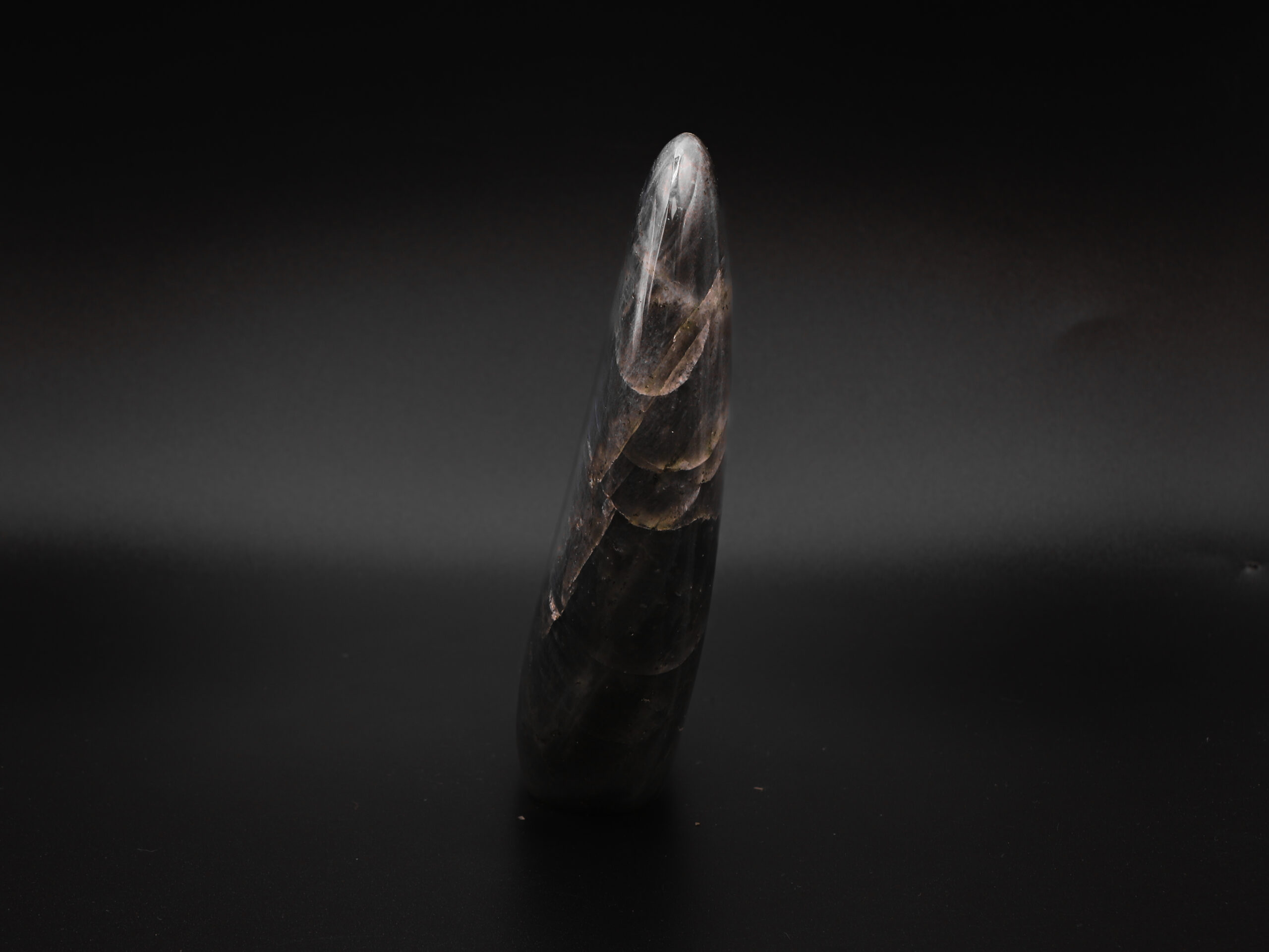 Labradorite Équilibrante 5 7TyB76g cHfB yV15 kaYTN43W5cdh2scD4yfHF6P7A scaled