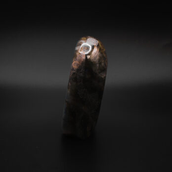 Labradorite Transcendante 12 BpldHfYF mjlaJuztwbBm5GergX lqBlPi7H9z1az3c