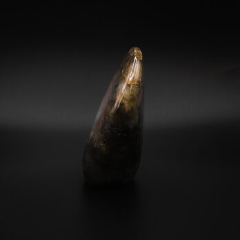 Labradorite Chamanique 12 UOM2debjiz AAI3GmnK6QU8Hsj71azlrO 7gwb32f4g