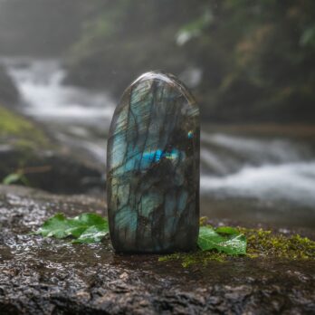 Labradorite Rituelle 9 qVACNCUB2MQAAaFO dQwkscRmlNQrLXXc8g8H jwm8Y