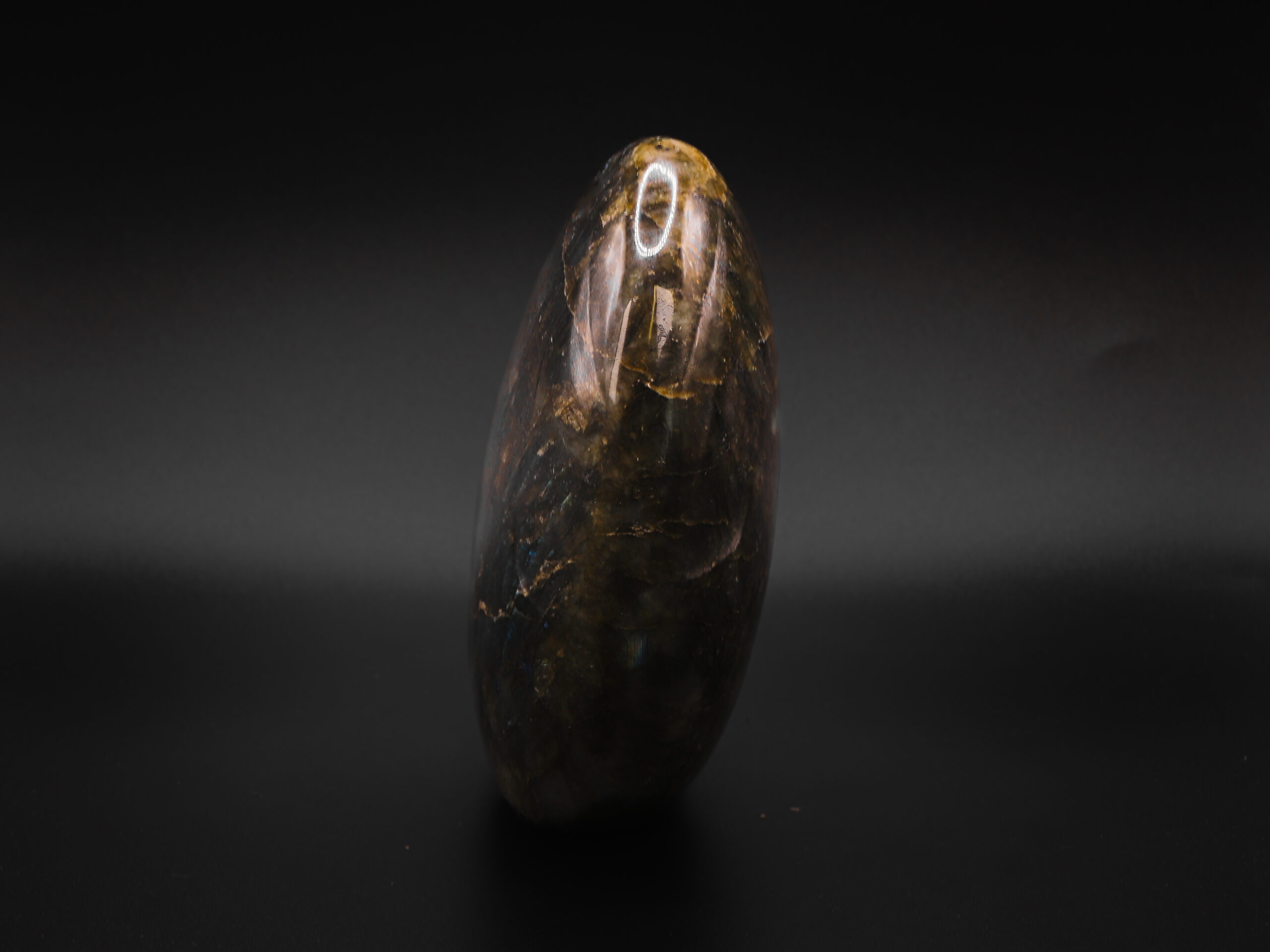 Labradorite Vibrante 5 sOWlTbqA1HItpO7QCqnLmyiNdslRoN3HGh6sbmTyq70 scaled