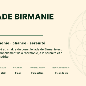 Bracelet Jade Birmanie multicouleur AA perles 10 mm 9 6XNhPup0lzfHeRmuRqsGp a0waaq2HzctbhVnXI6T9U