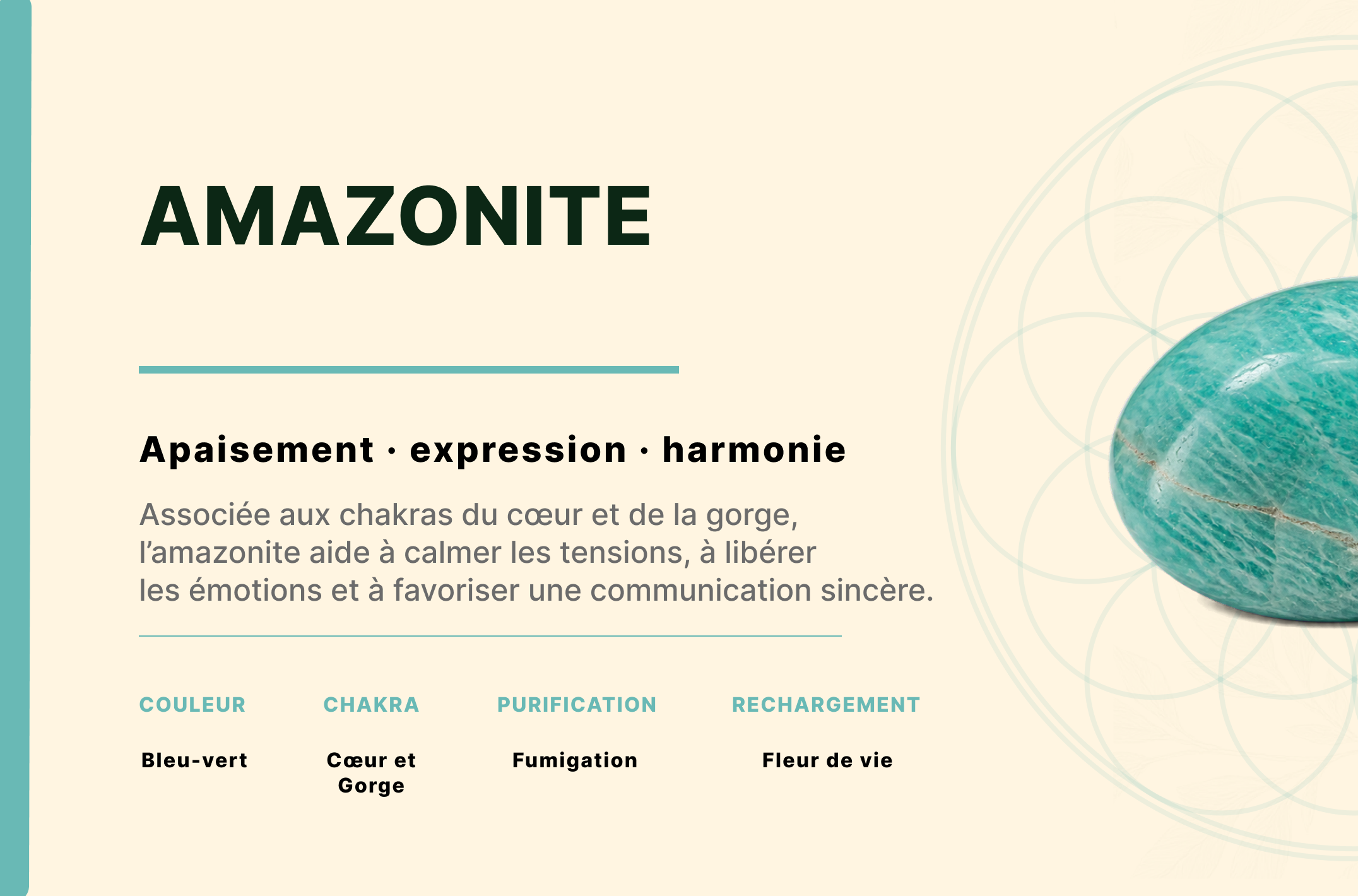 Bracelet Amazonite du Pérou AA perles 10 mm 4