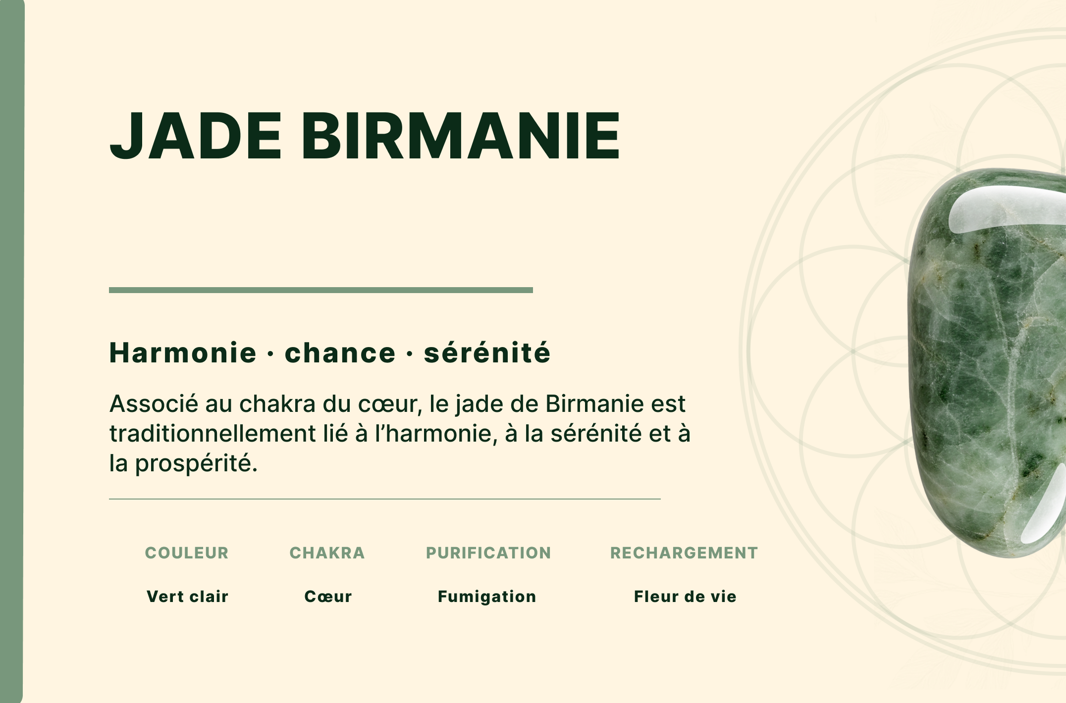Bracelet Jade Birmanie unie AA perles 8 mm 4 NWLy0AtUw1axElGtUqkK4VNuS F 0G ynRGWY 9AirE
