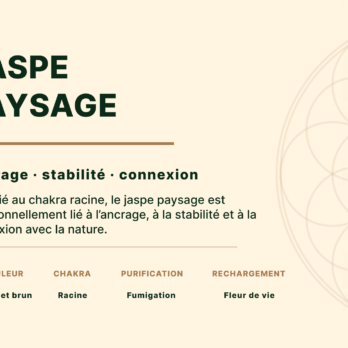 Bracelet Jaspe Paysage 'A' perles 4 mm 11 ZmGhXd0PoX5J5iPPe2tqZHMD5G6V9k21tDlxFwf d4g