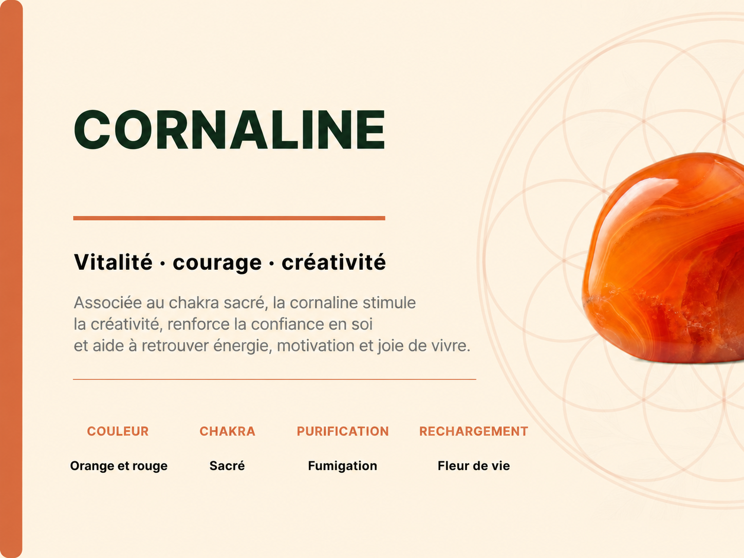 Bracelet Cornaline Rubanée 'A' perles 8 mm 3 g9r7GgeQemLoAl8lXlXC1RXJoSXhKrgeVUrllEUrcdY