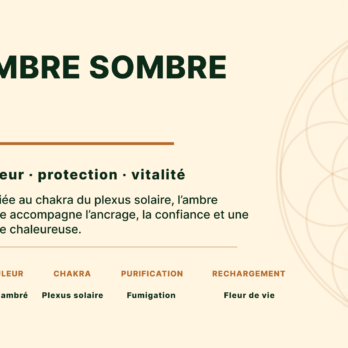 Bracelet Ambre sombre catégorie ‘A’ perles 6 mm 9 l75TfNEVzY91hrIuE61sj09igS93r1ASJFcFBdoPJ7M