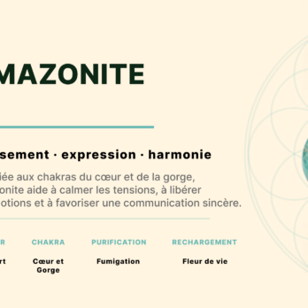 Bracelet Amazonite du Pérou AA perles 10 mm 9 pGp0bpxI5nEWwM ABt5cXLUh3bKXwkXILKVVwXwCgGs